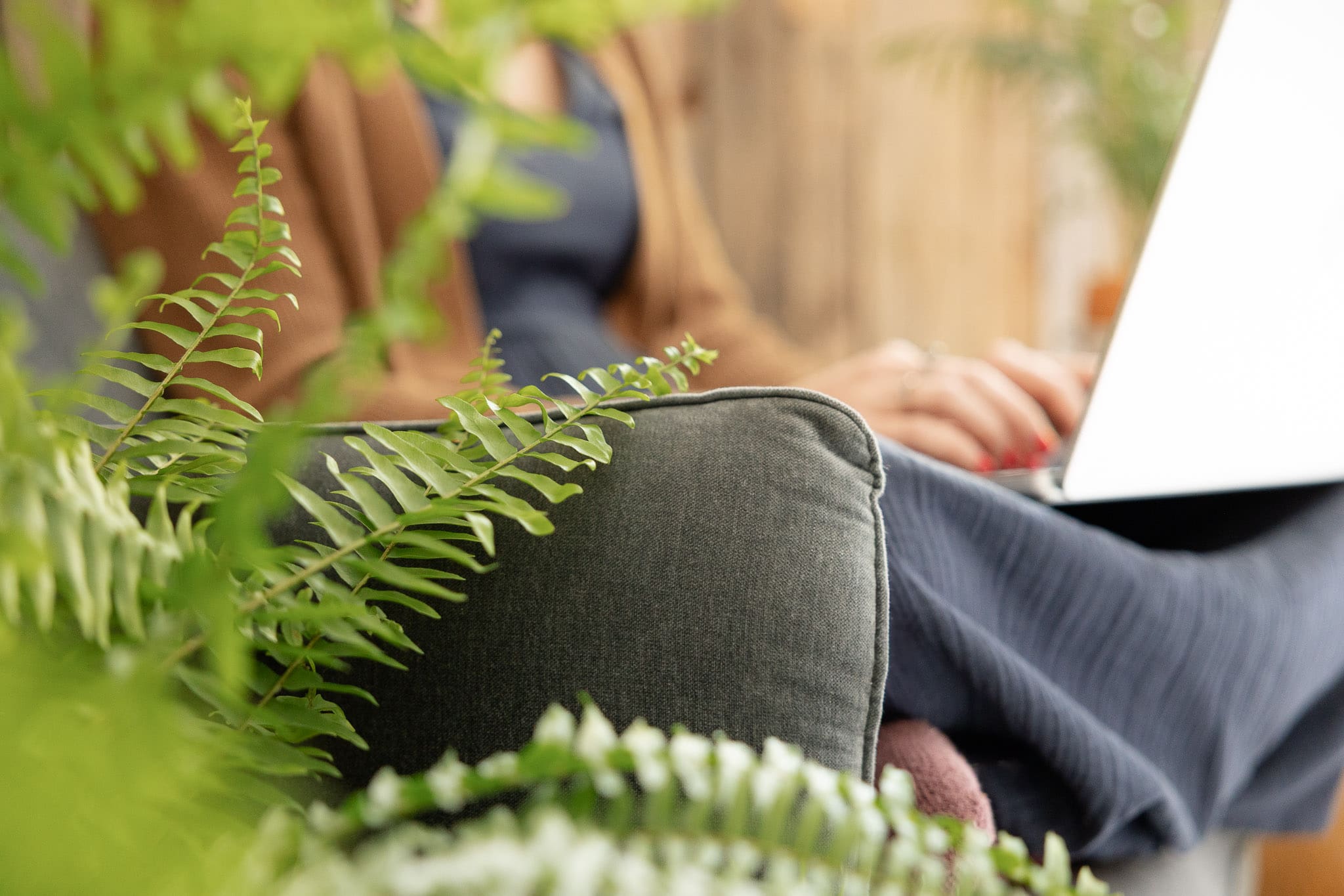 Fern in foreground while woman in comfy clothes works on laptop | Brand Photo Process | Kayla Petrosky Photography