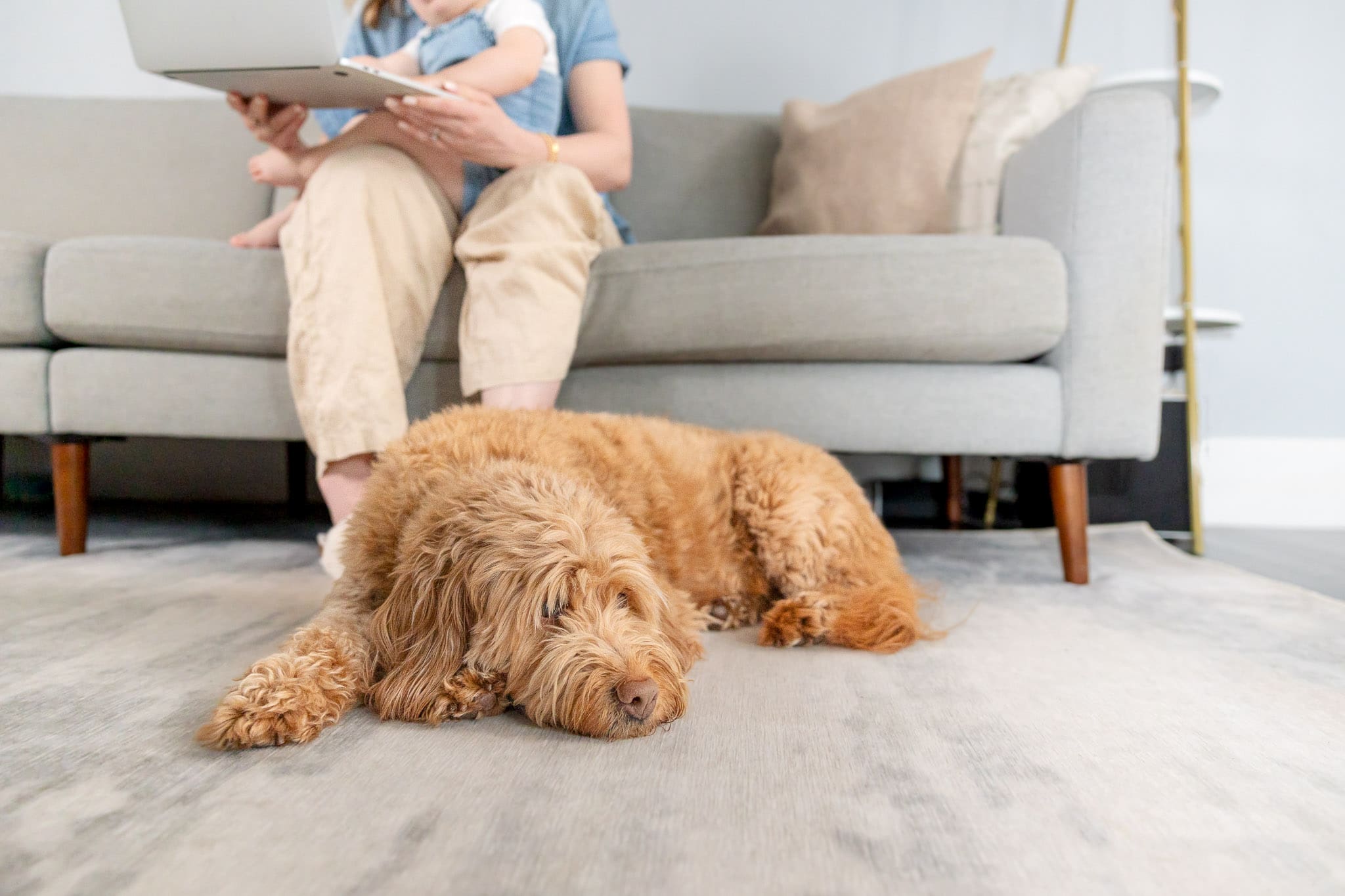 Dog sits at feet of woman holding child while working on computer | SEO + Marketing Expert Brand Photos | Kayla Petrosky Photography