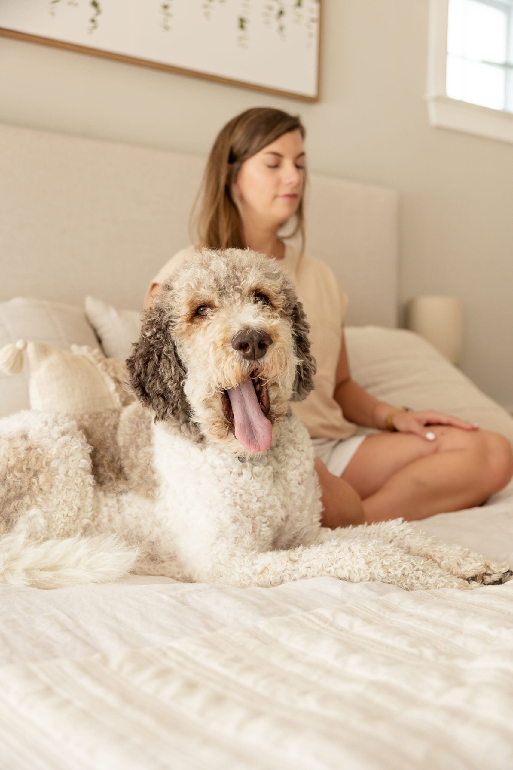 Dog yawns while woman sits behind him to meditate | Mindset Coach Brand Photos | Kayla Petrosky Photography
