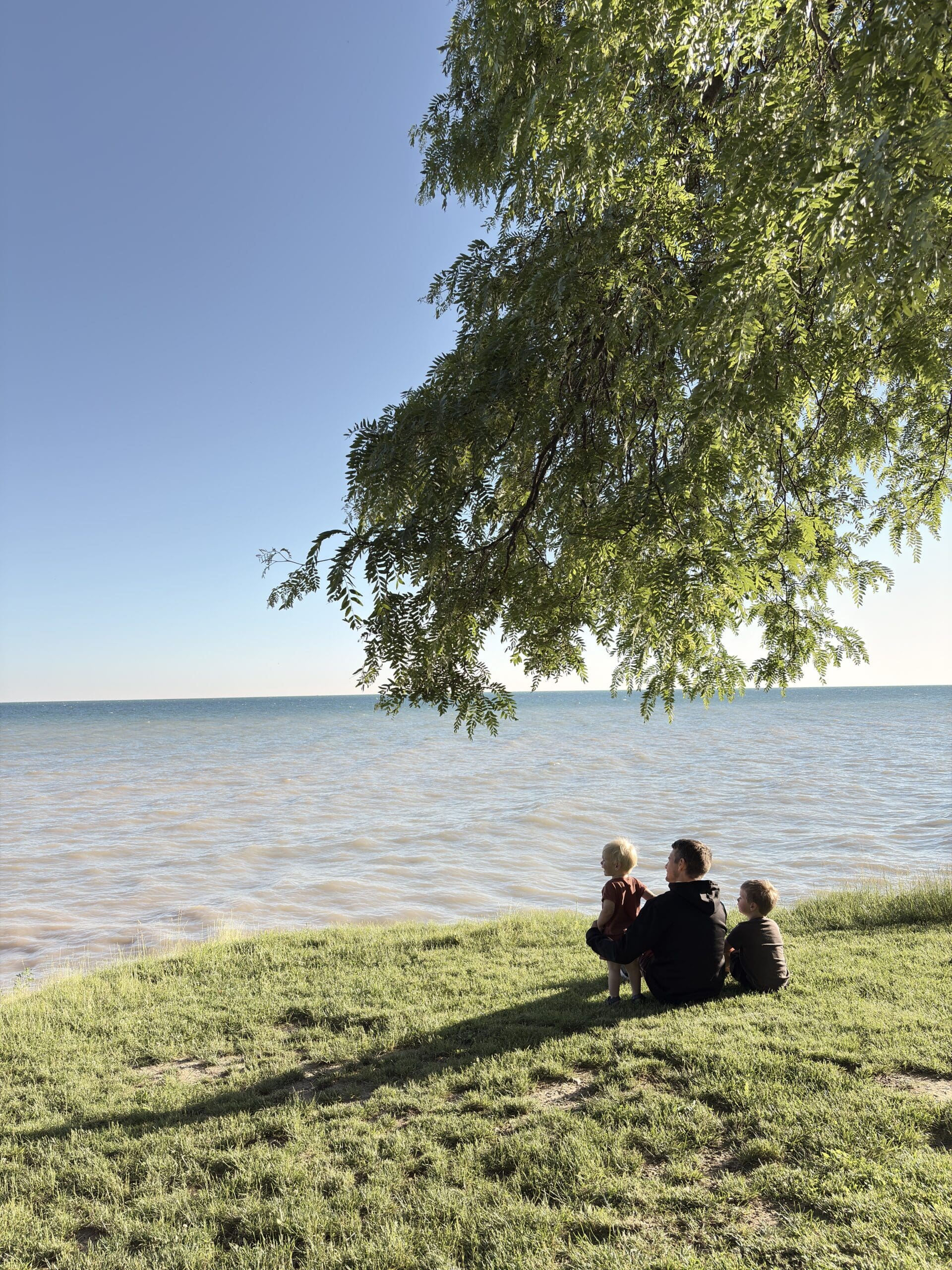 A man and two young children sit under a tree looking out over Lake Ontario.