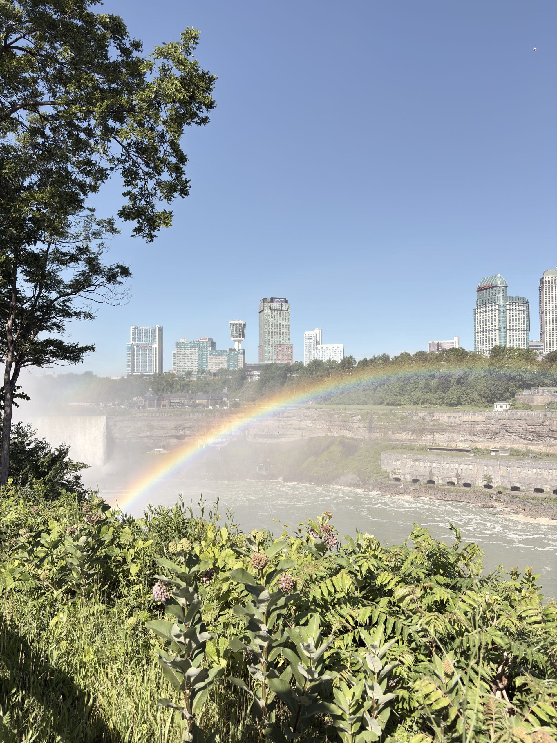 View overlooking the Niagara River with a sliver of Niagara Falls, a rainbow, and part of a city skyline in the background.